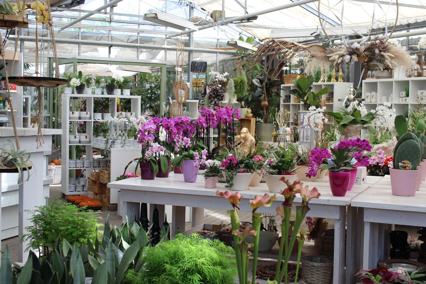 Geschenkideen für jeden Anlass