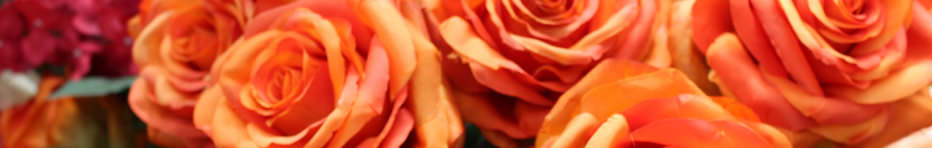 Pits Floristik Center Erlau